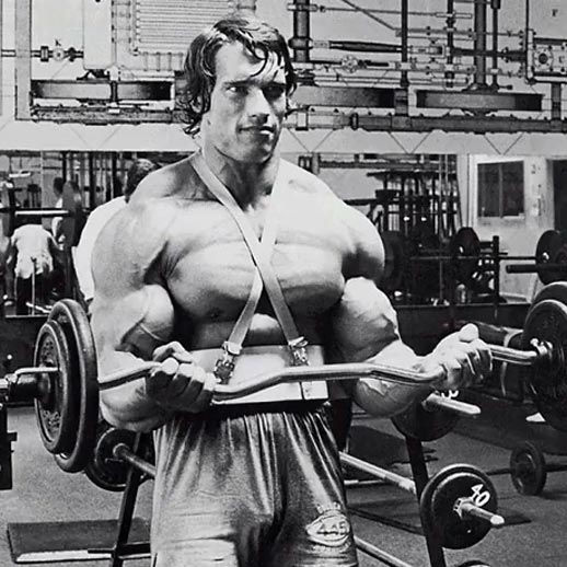 Boucles Arnold Schwarzenegger