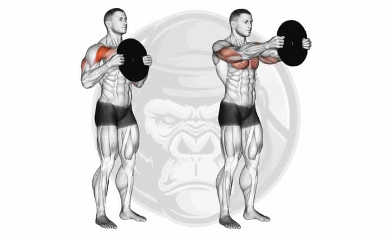 Meilleurs exercices pour les pectoraux - Plate Pinch Press