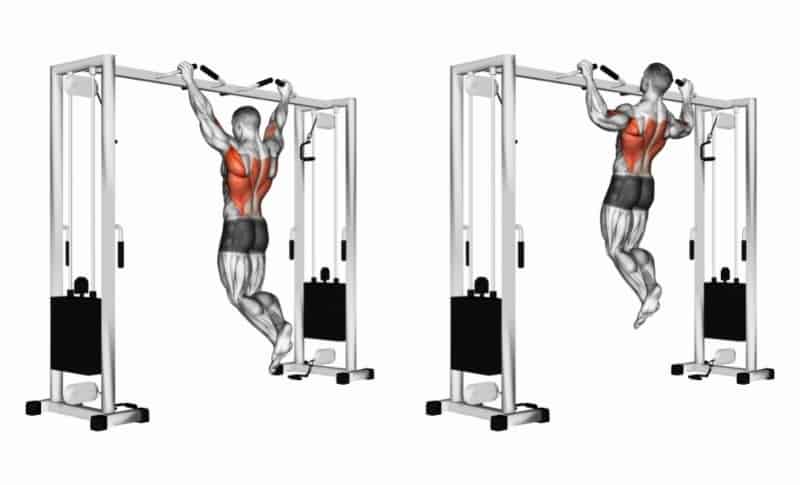 Meilleurs exercices pour le haut du dos - Tractions