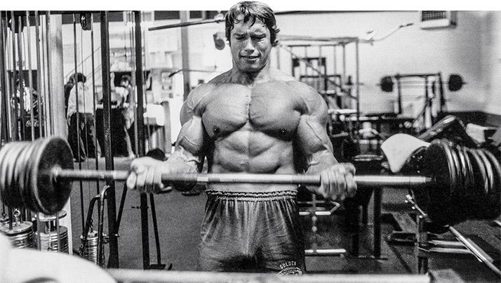 Boucles d'haltères Arnold Schwarzenegger Boucles d'haltères Arnold Schwarzenegger