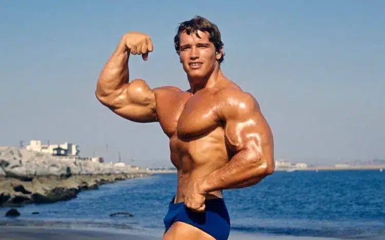 Obtenez des bras plus gros Arnold Schwarzenegger pose