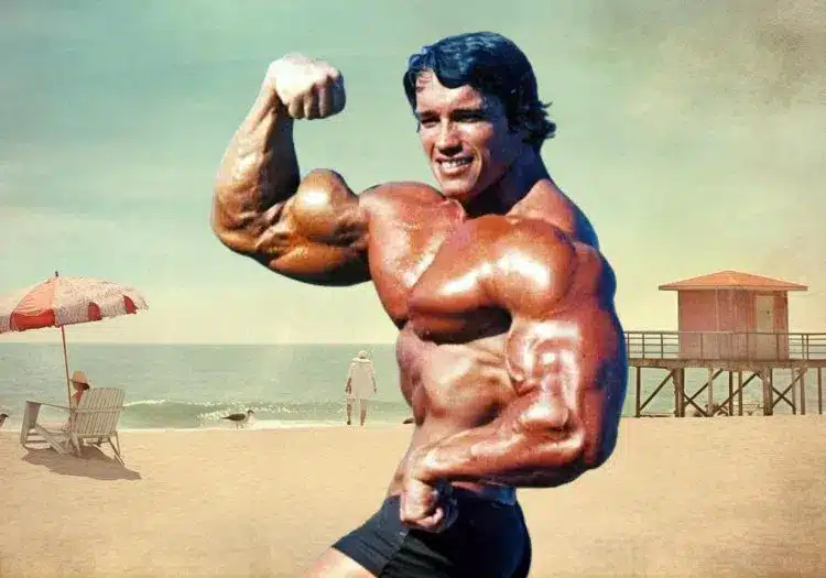 Double biceps d'Arnold Double biceps d'Arnold