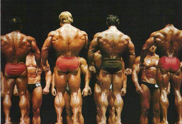 1981 M. Olympia