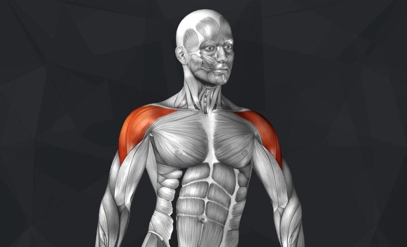 Jacked Gorilla