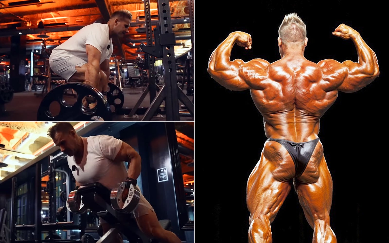 Guide de Jay Cutler pour créer un dos massif – Fitness Volt