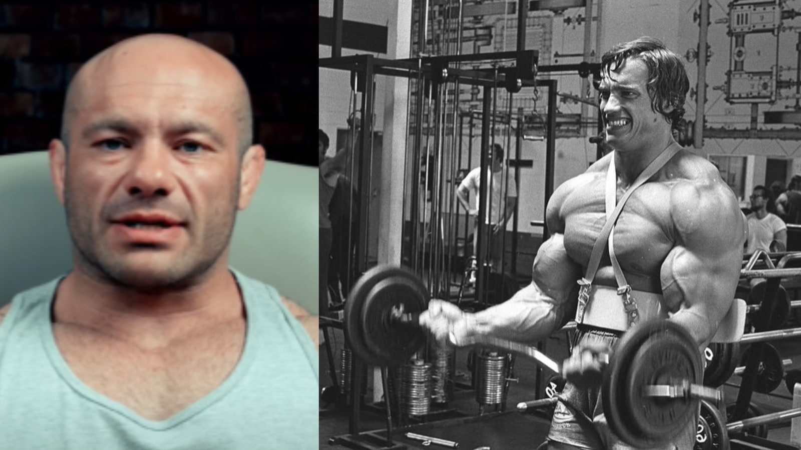 Hypertrophie: Approche Pratique Et Scientifique Du Developpement Musculaire visual data 3