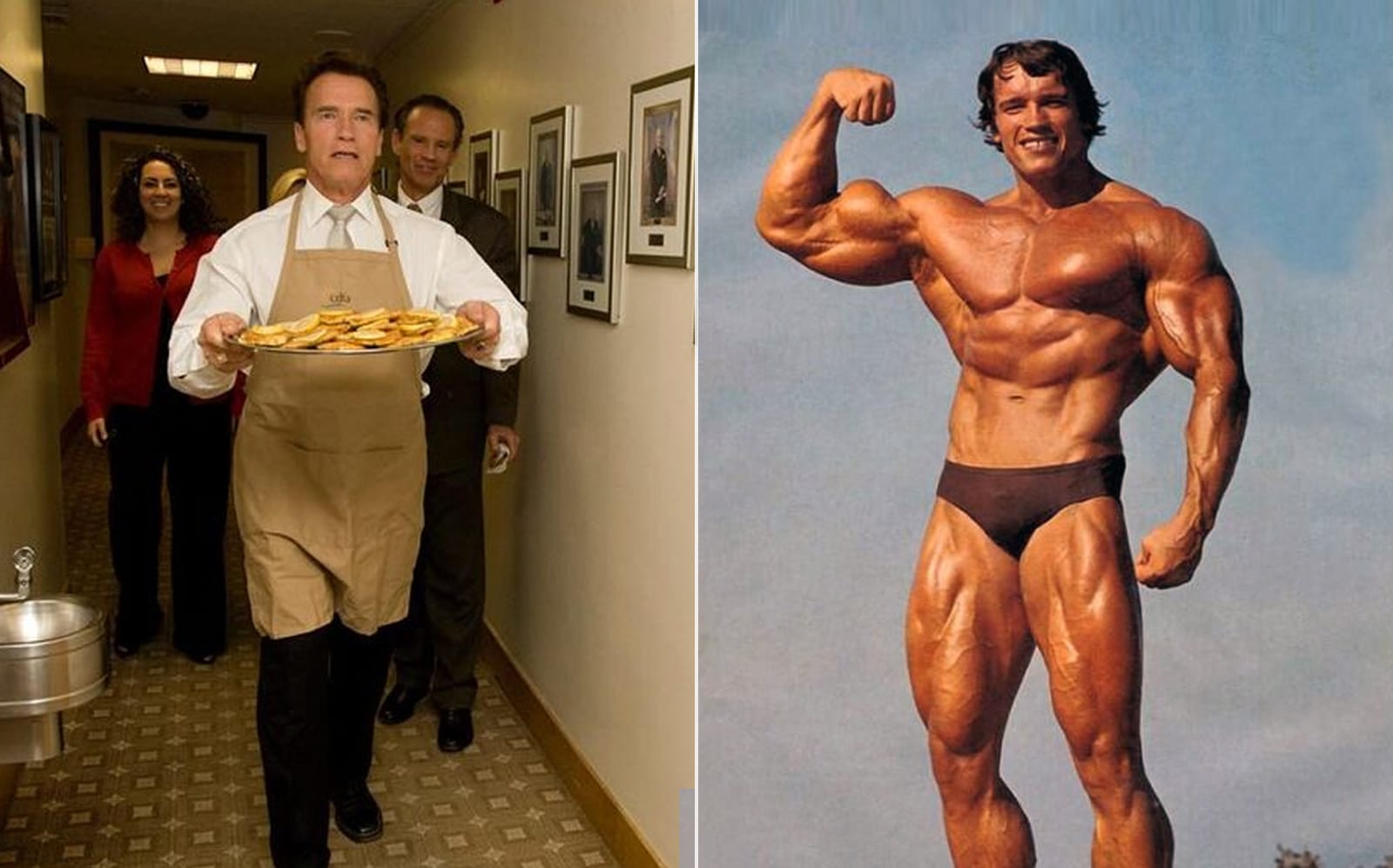 Arnold Schwarzenegger explique si vous devez ajouter des glucides aux repas après l'entraînement – Fitness Volt