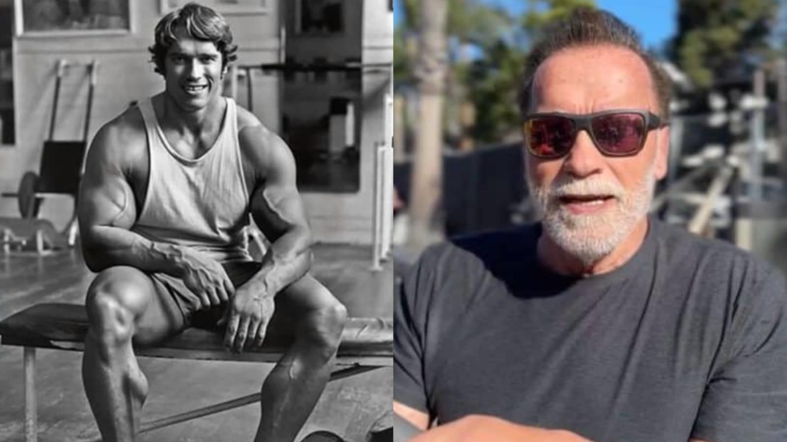 Arnold Schwarzenegger révèle si les étirements statiques ou le foam rolling offrent de meilleurs avantages en termes de flexibilité et d’amplitude de mouvement – Fitness Volt