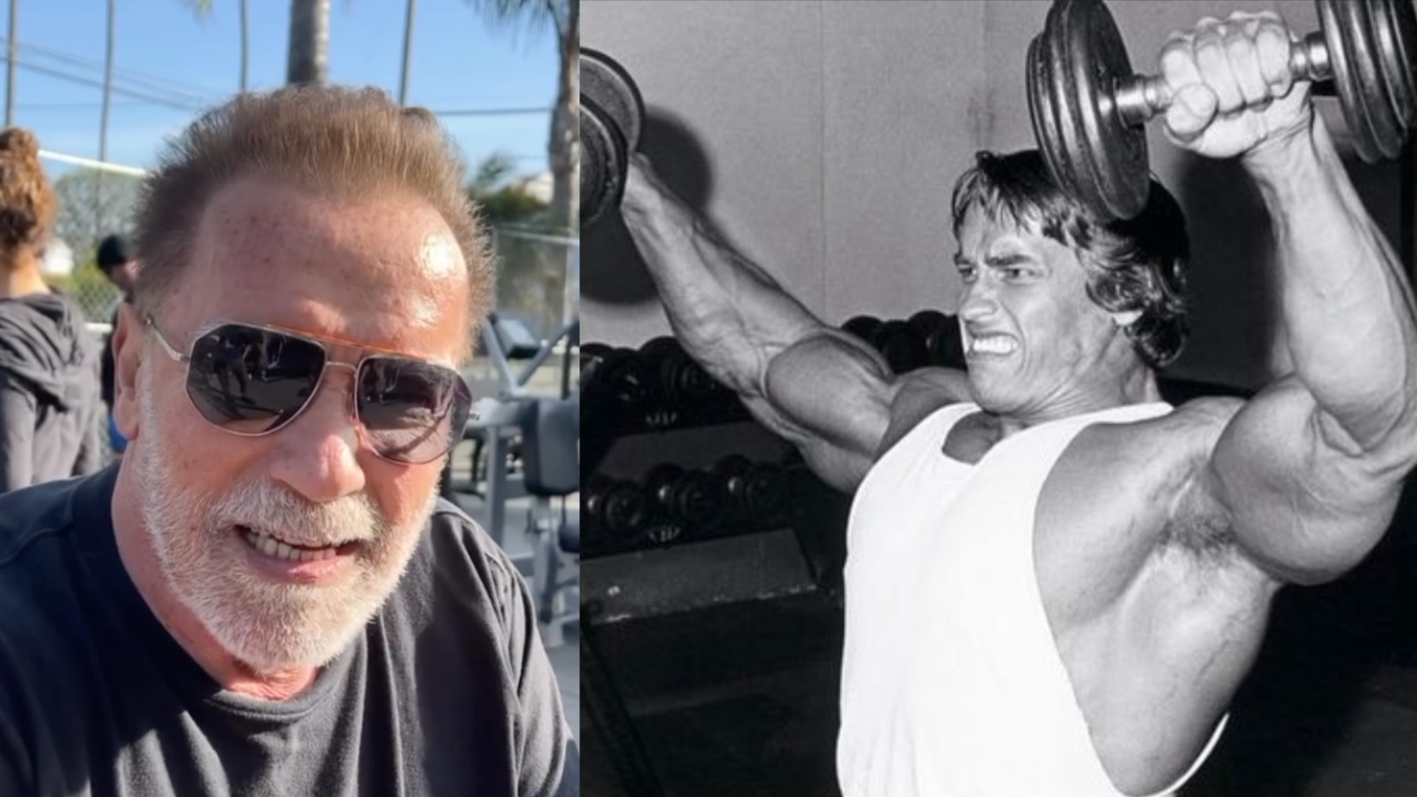 Arnold Schwarzenegger révèle si l'utilisation de poids plus lourds pendant les échauffements améliore les performances d'entraînement – Fitness Volt