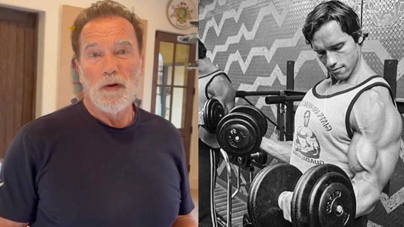 Arnold Schwarzenegger partage une « pompe de renforcement musculaire, de musculation complète et d'entraînement cardio » de 15 minutes – Fitness Volt