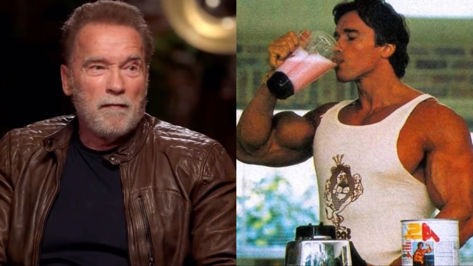 Arnold Schwarzenegger discute des métaux lourds dans les poudres de protéines : « Vous n'avez pas besoin de craindre toutes les toxines » – Fitness Volt