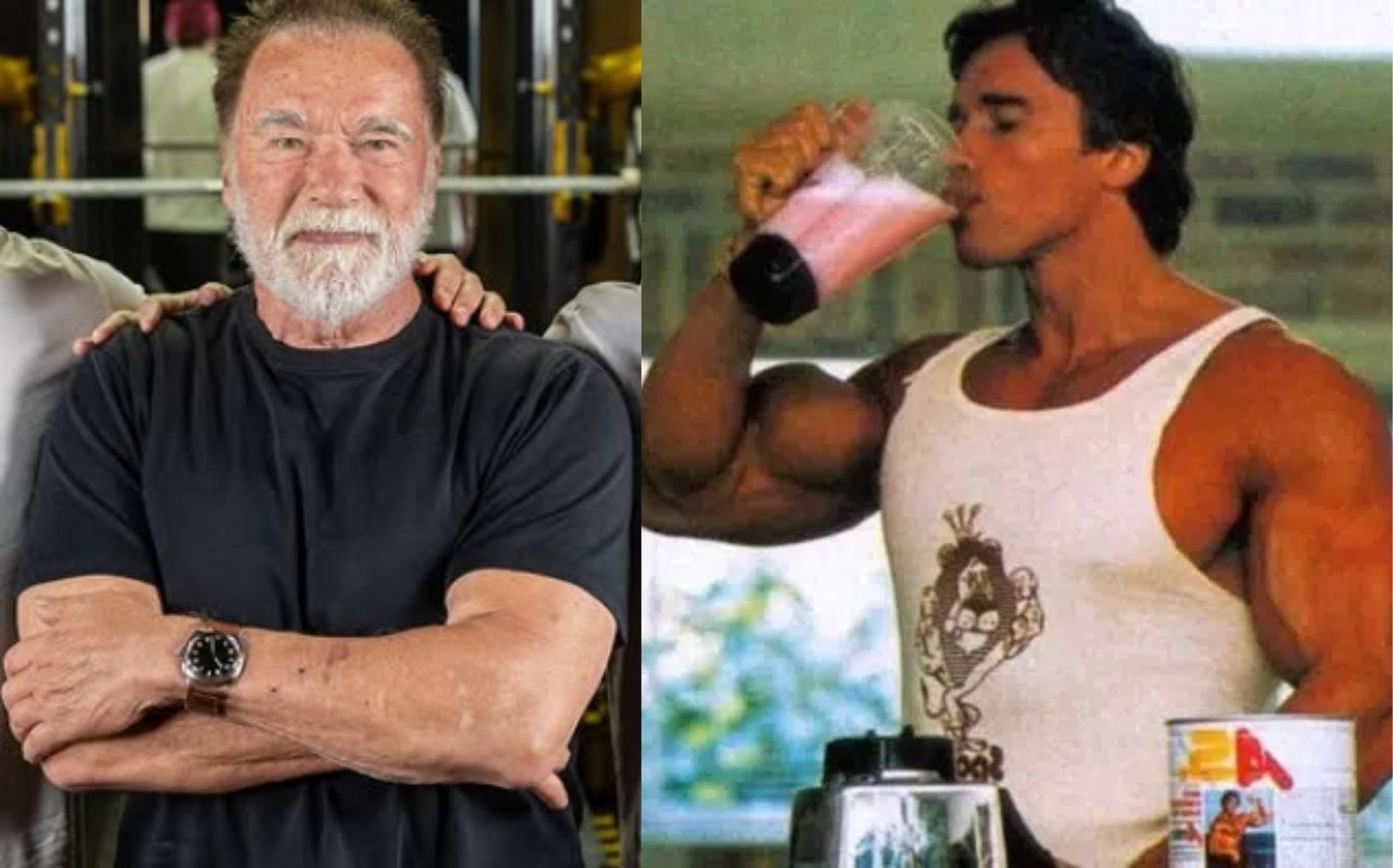 Arnold Schwarzenegger révèle comment manger plus de protéines des légumineuses, des noix et des graines peut vous aider à mieux vieillir 46% - Fitness Volt