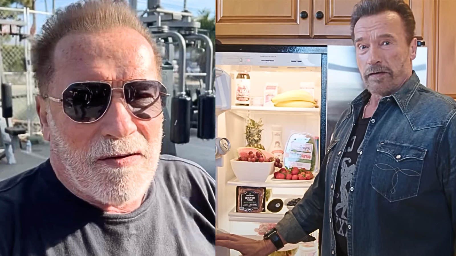 Arnold Schwarzenegger démystifier les régimes riches en protéines causant des dommages rénaux, dit «c'est lié à un risque plus faible de décès» - Fitness Volt
