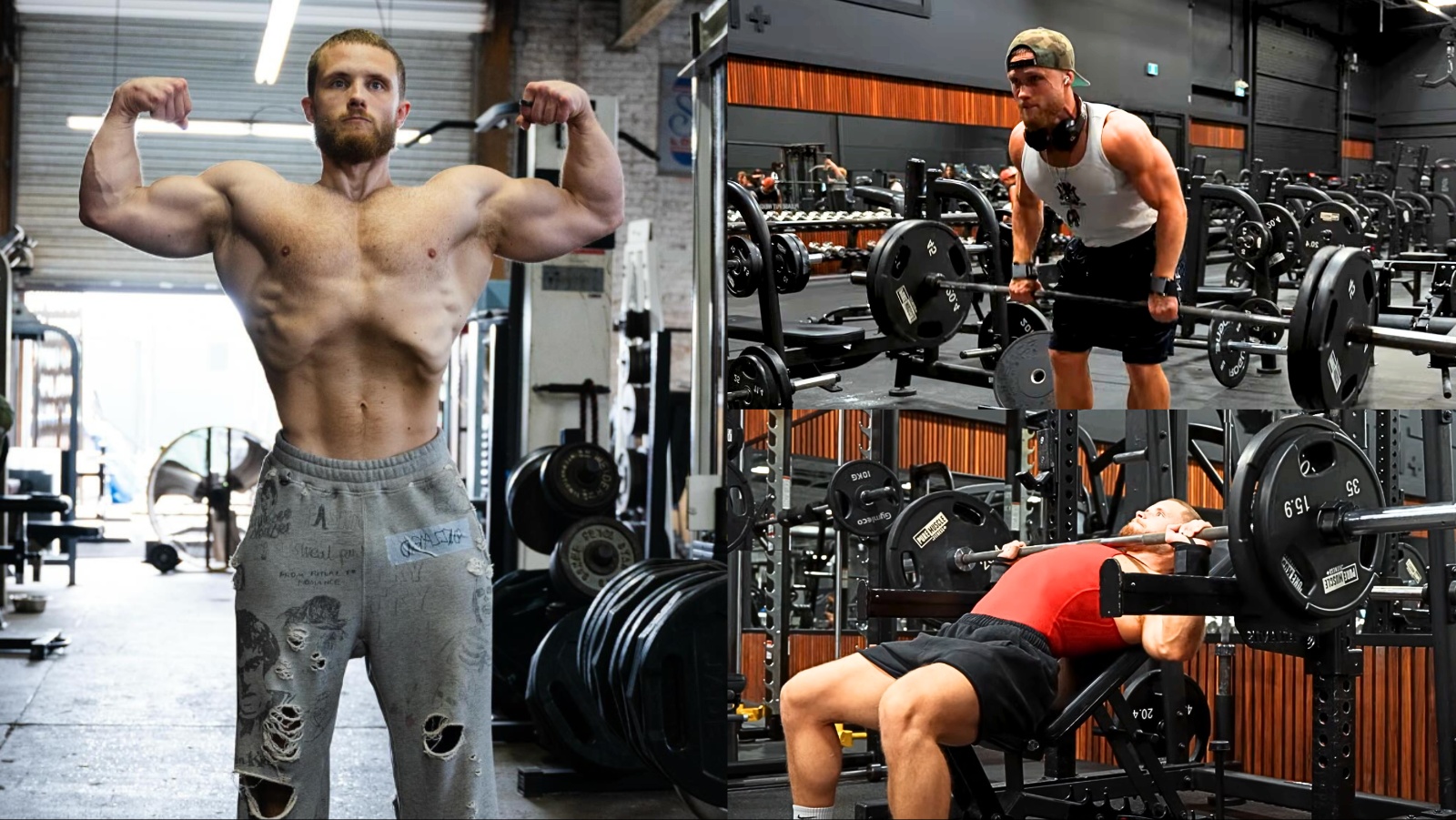 Jeff Nippard donne un plan d'entraînement et des indices techniques qu'il a utilisés pendant 1 an pour transformer son physique - Fitness Volt