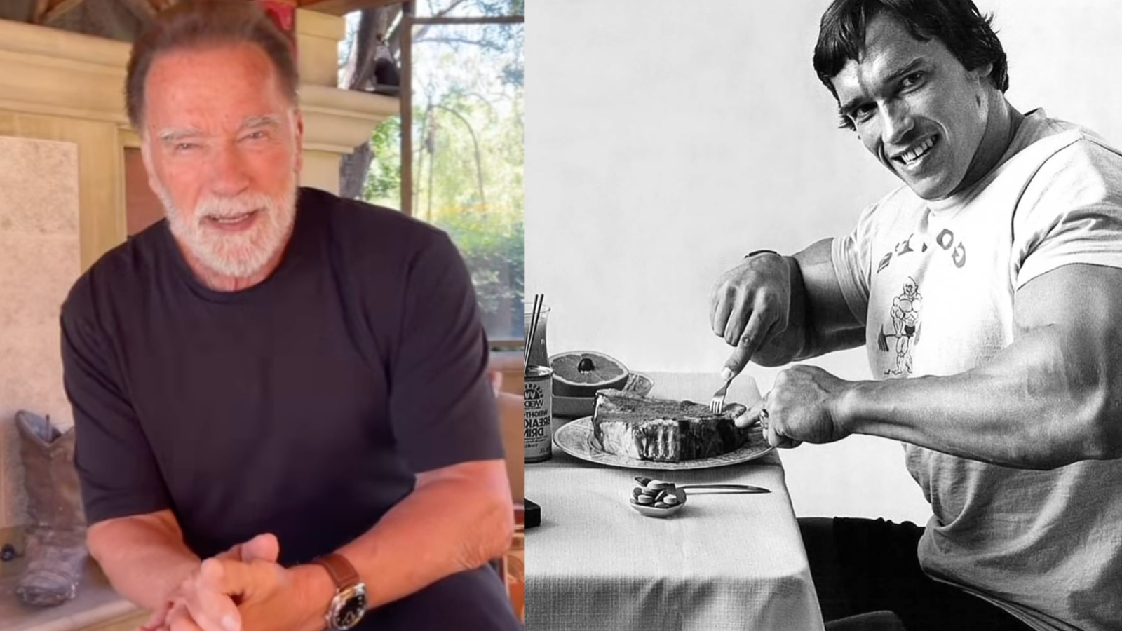 Arnold Schwarzenegger discute si manger des protéines supplémentaires se transforme en graisse corporelle - Fitness Volt