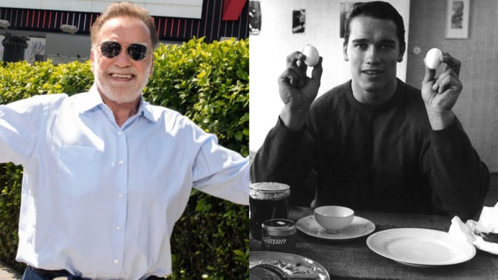 Arnold Schwarzenegger défend les œufs en tant que superaliment stimulant du cerveau - Fitness Volt