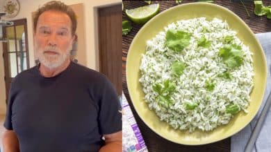 La légende de la musculation Arnold Schwarzenegger révèle si le riz blanc vous fait gagner en gros - Fitness Volt