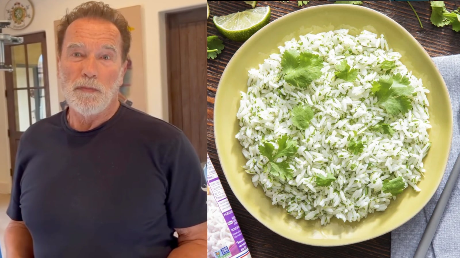 La légende de la musculation Arnold Schwarzenegger révèle si le riz blanc vous fait gagner en gros - Fitness Volt