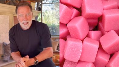 Arnold Schwarzenegger partage la « vérité amère » sur les bonbons gélifiés à la créatine et affirme que les tests en laboratoire montrent que la plupart ne contiennent « presque pas de créatine »