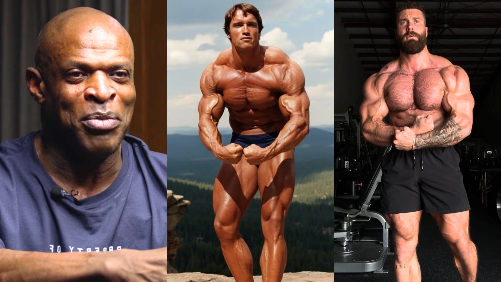 Ronnie Coleman affirme qu'Arnold Schwarzenegger aurait « fumé » Chris Bumstead : « niveau totalement différent » – Fitness Volt